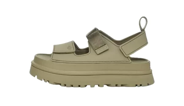 Shaded-e1715974961903