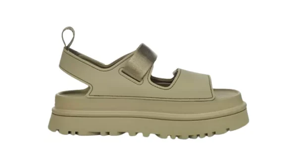 Shaded_Clover__3-600x340-1-e1715974907547